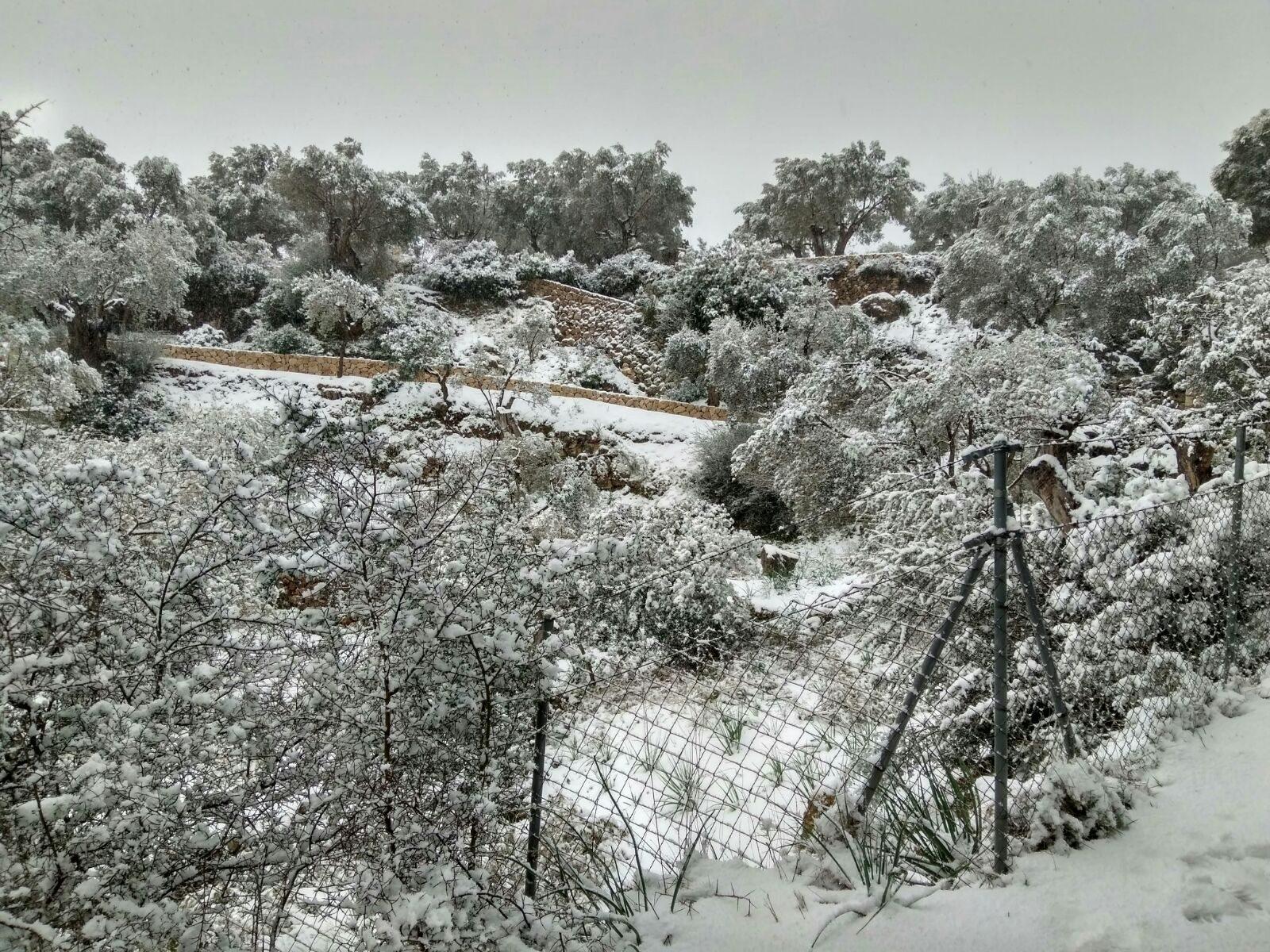 Nieve Neu2.jpg