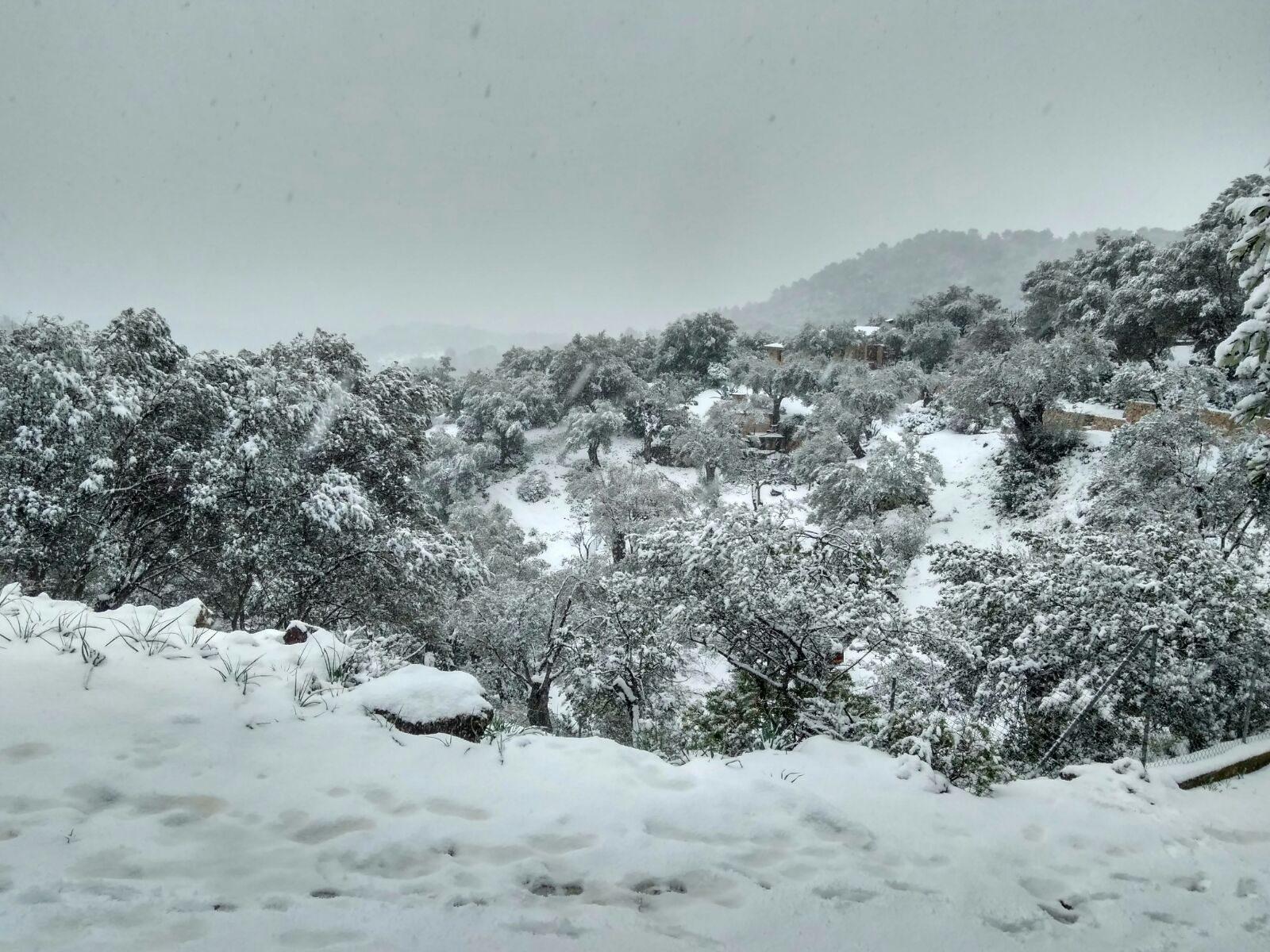 Nieve Neu3.jpg