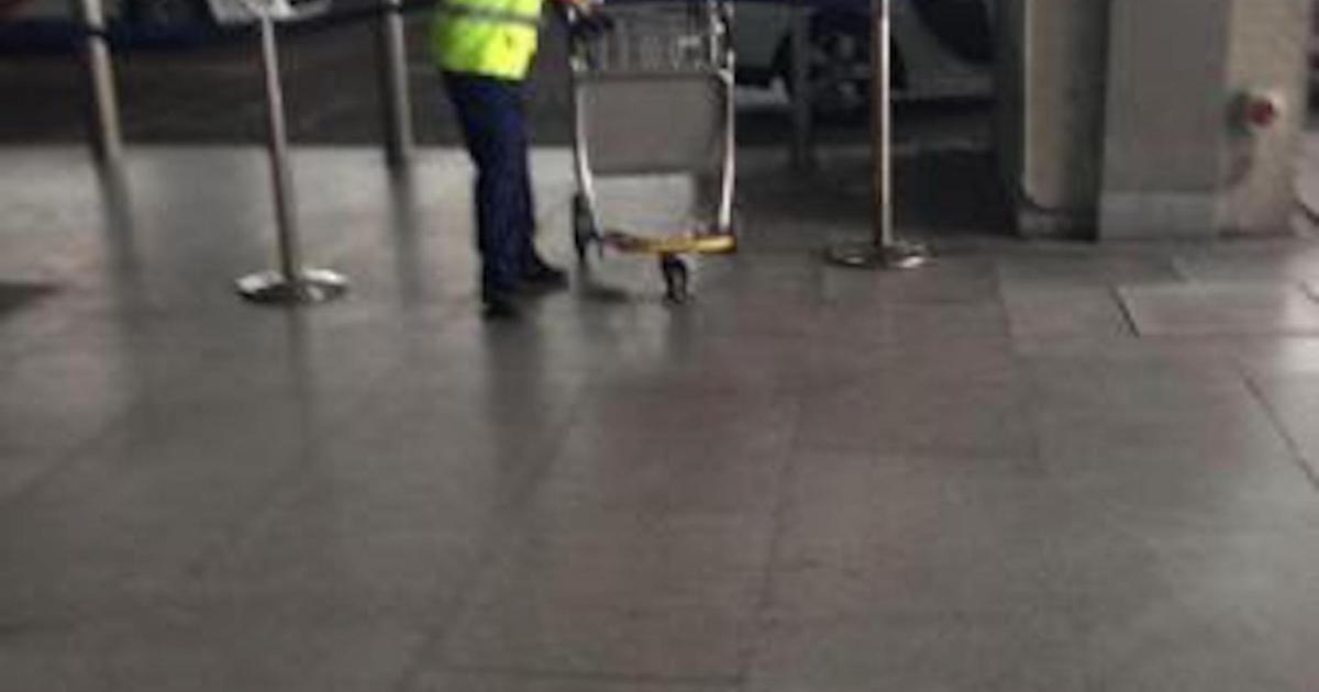 Baggage handlers at Palma Airport threaten strike action