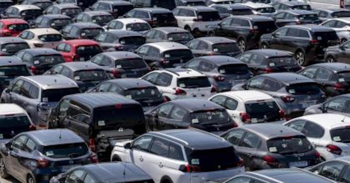 Car rental activity down by 80 in Majorca