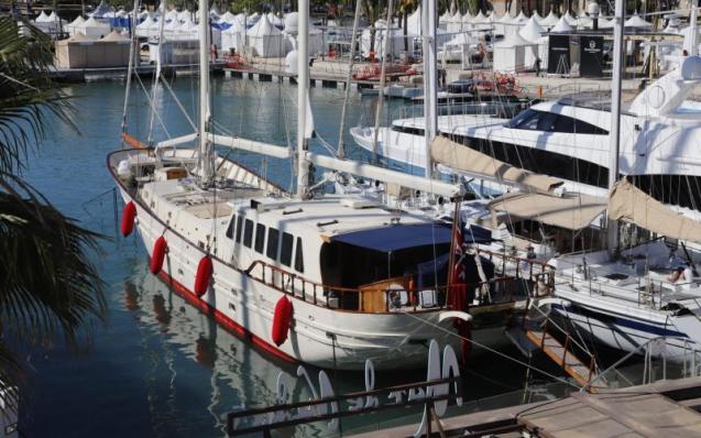 Cornualles Tiger Lily en Palma, Mallorca