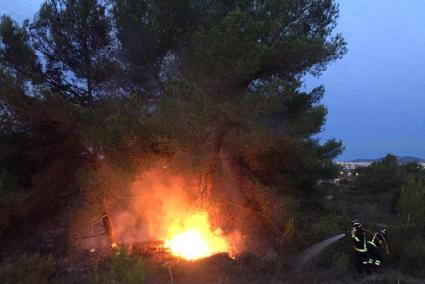 Firefighters in Mallorca deal with a forest fire