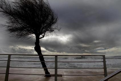 Wind in Mallorca