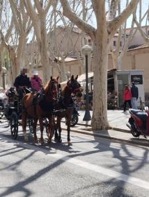 Photo taken on Friday on the Ramblas.