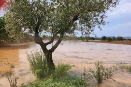 Mallorca, in the eye of the storm on Monday