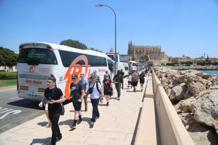 Coaches in Palma, Mallorca