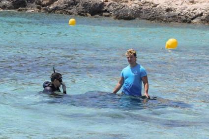 The manta ray which died in Illetas a few weeks ago.