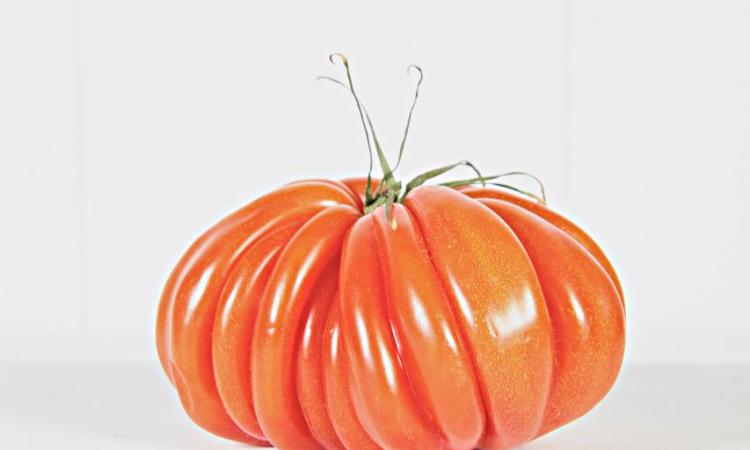 These “meaty” tomatoes are just perfect for roasting