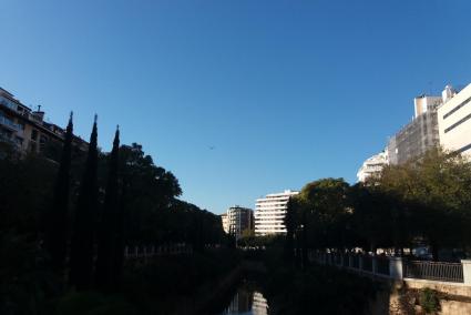 Sunny views in Palma