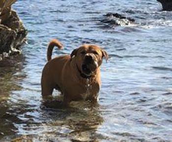 A beautiful weekend in Majorca