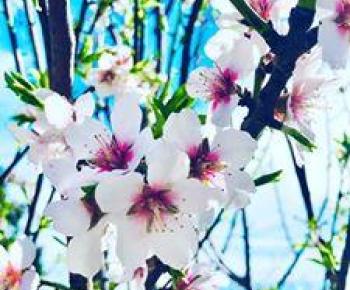 A beautiful weekend in Majorca