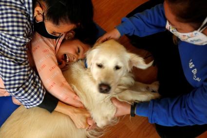 Dog-assisted therapy session at Escola Iris in Sant Vicenc dels Horts