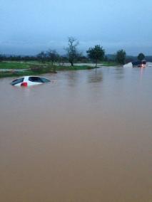 The Campos area of Majorca has been particularly badly affected.