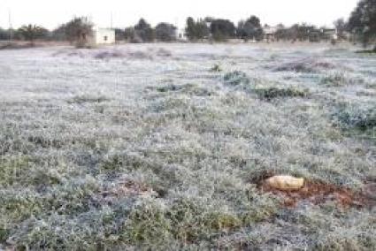 Frosty morning on Mallorca