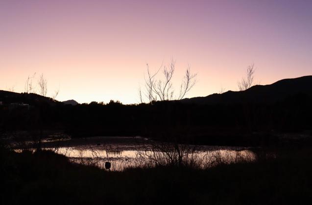 La Gola en Puerto Pollensa, Mallorca