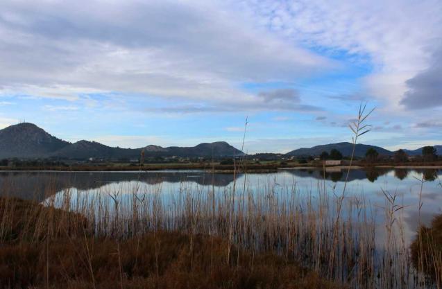 Albufera, Mallorca