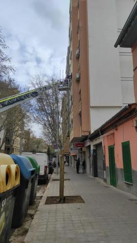 Bomberos de Palma accede a un piso