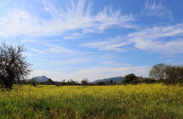 Cielo azul y nubes sobre Alcudia en Mallorca