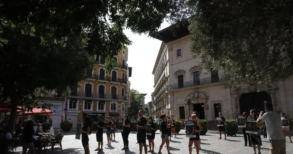 Protest in Palma against bullfighting