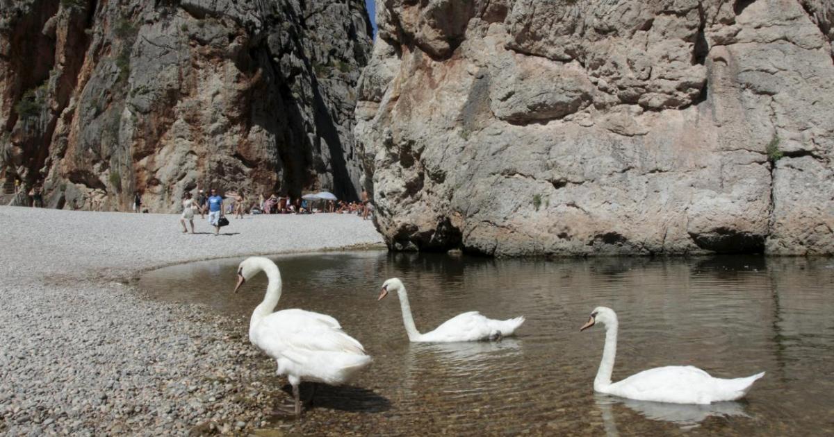 Weather in Mallorca Spain in October Overview