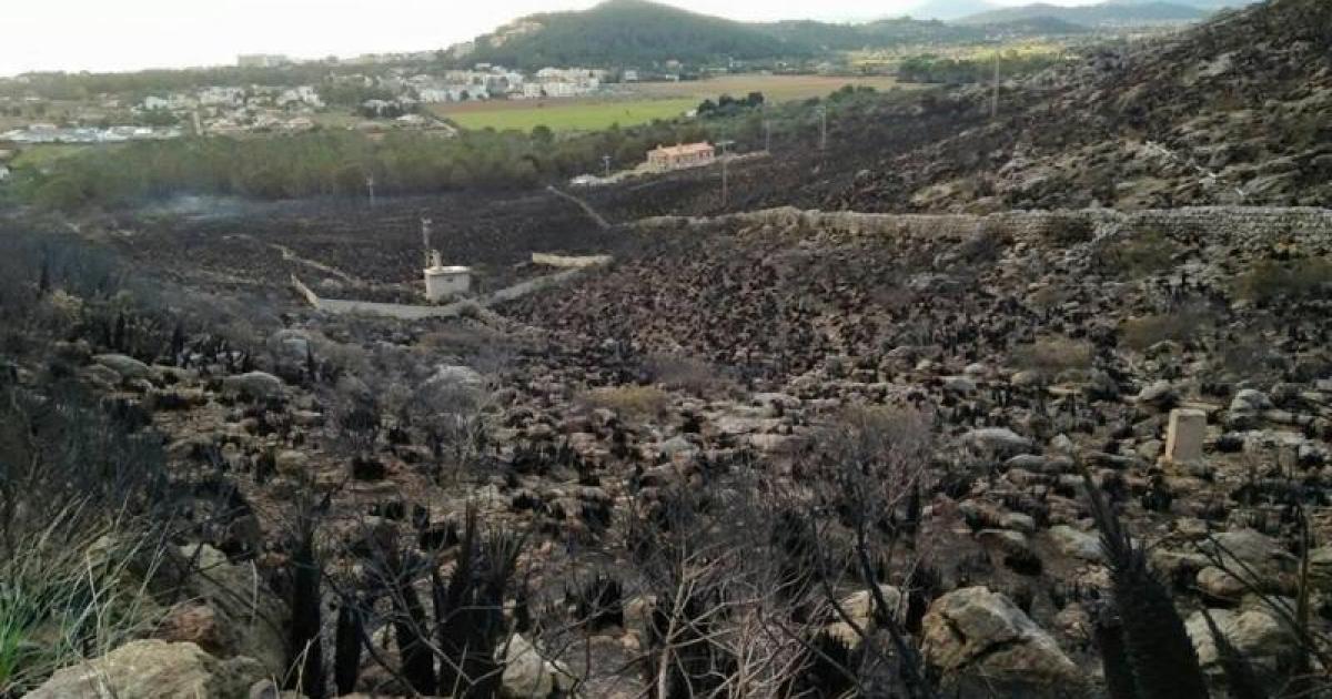 Puerto Pollensa fire under control