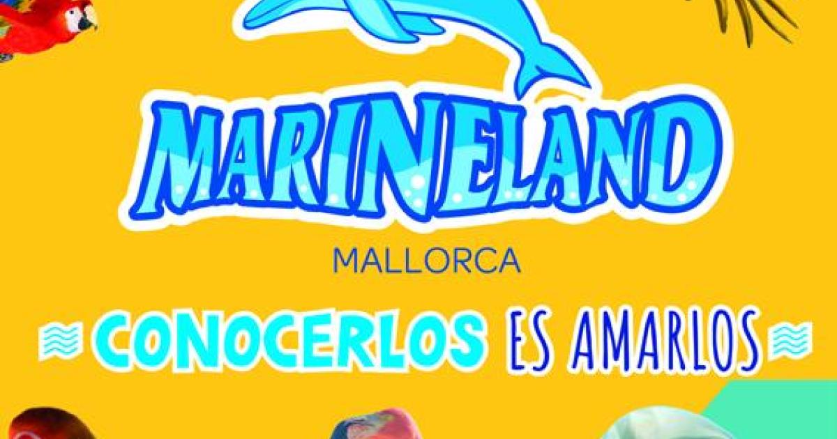 Mallorca Bulletin Reader Offers