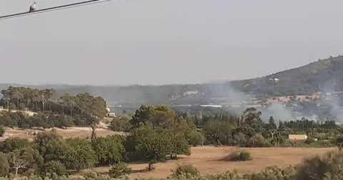 Dramatic Mallorca wildfire eyewitness video account