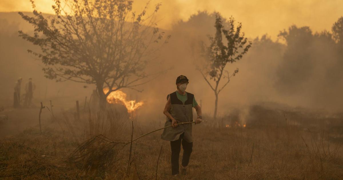 Mallorca burns but rain on the horizon as Spain battles wildfires: Sunday hottest day of the year to date