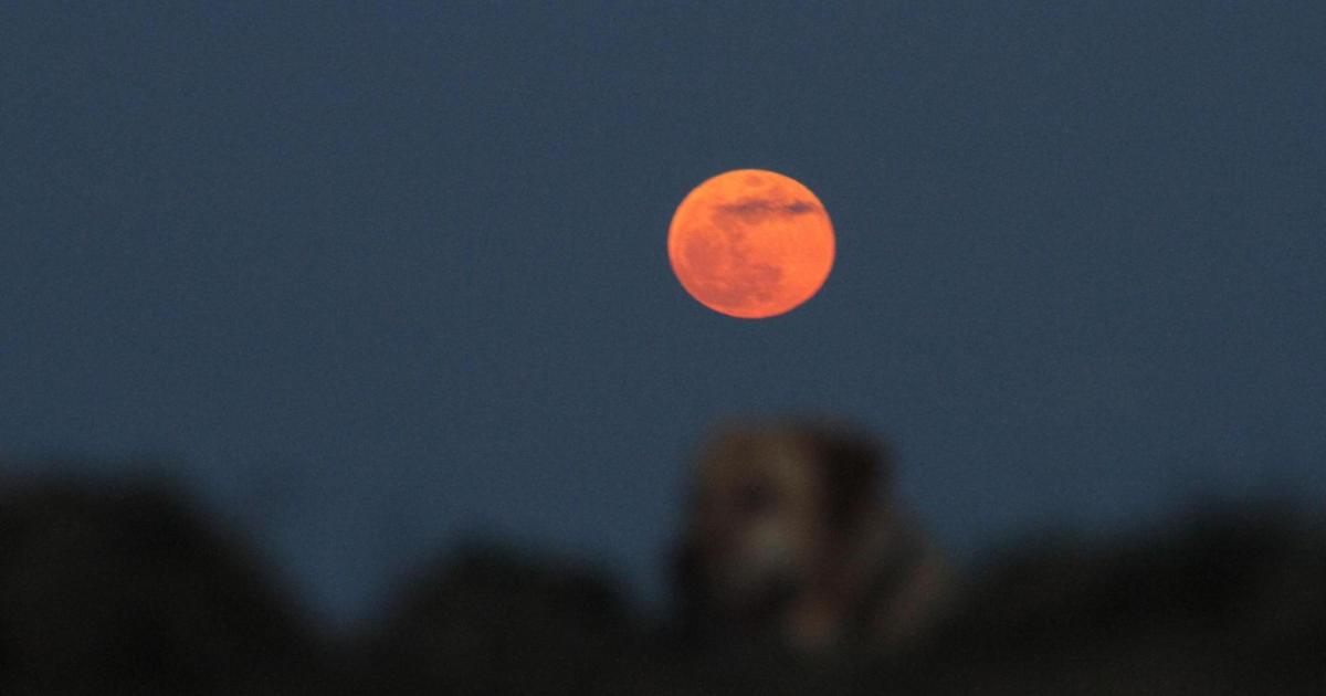 Blood Moon over Mallorca night sky