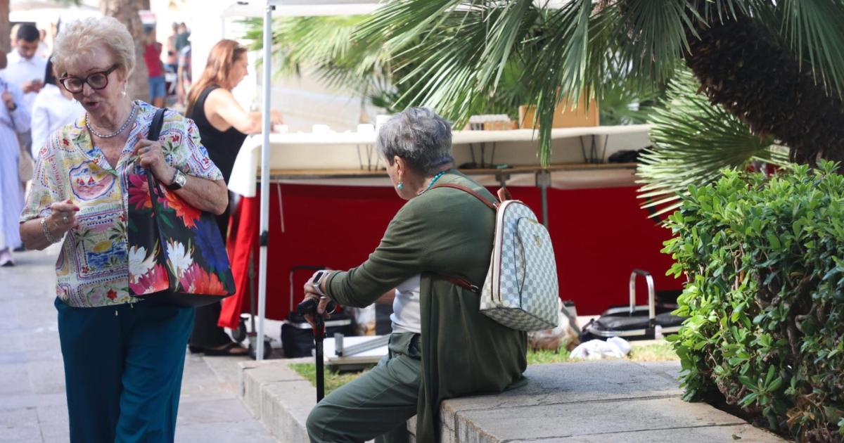 Pickpockets make hay in Palma while police said to target illegal selling instead