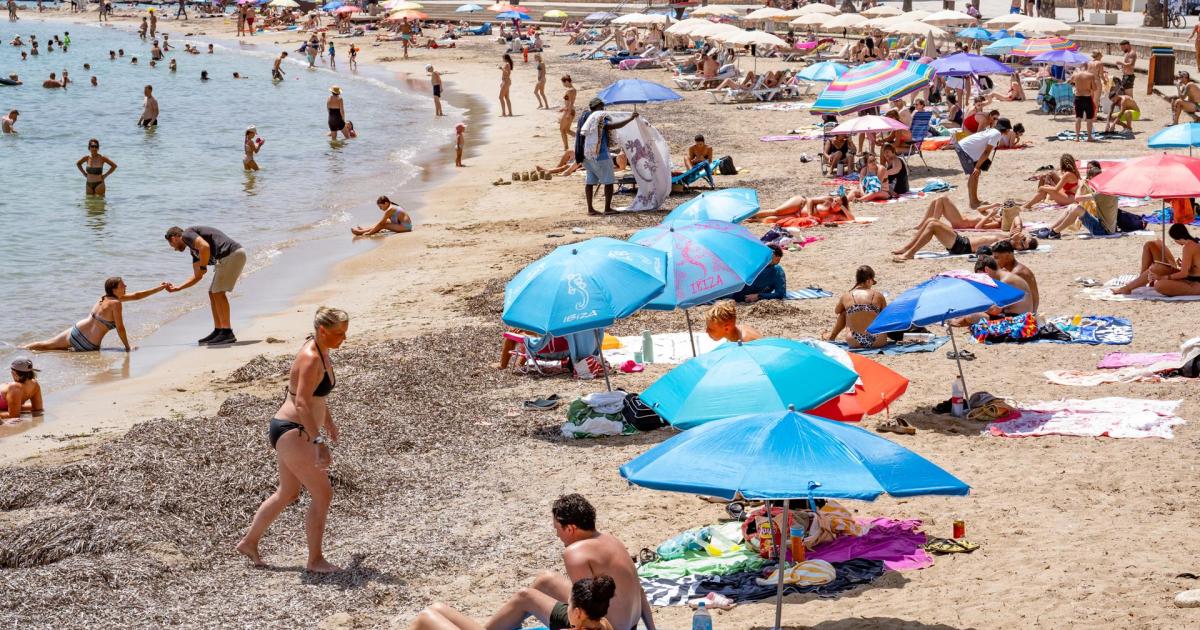 Mallorca holiday cost alert: 'Put tourist tax up if you dare', say Balearic socialists