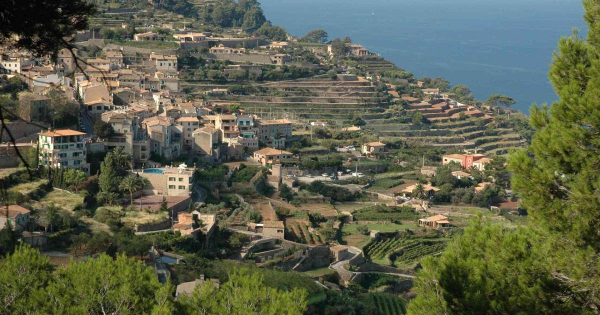 Mallorca is a top winter Mediterranean holiday winner beating Greece