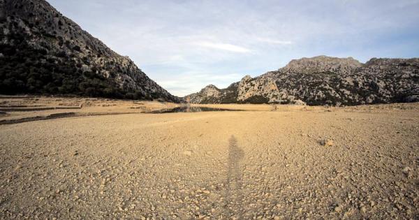 Spain is the European country with the most positive view of immigration: survey reveals what people fear