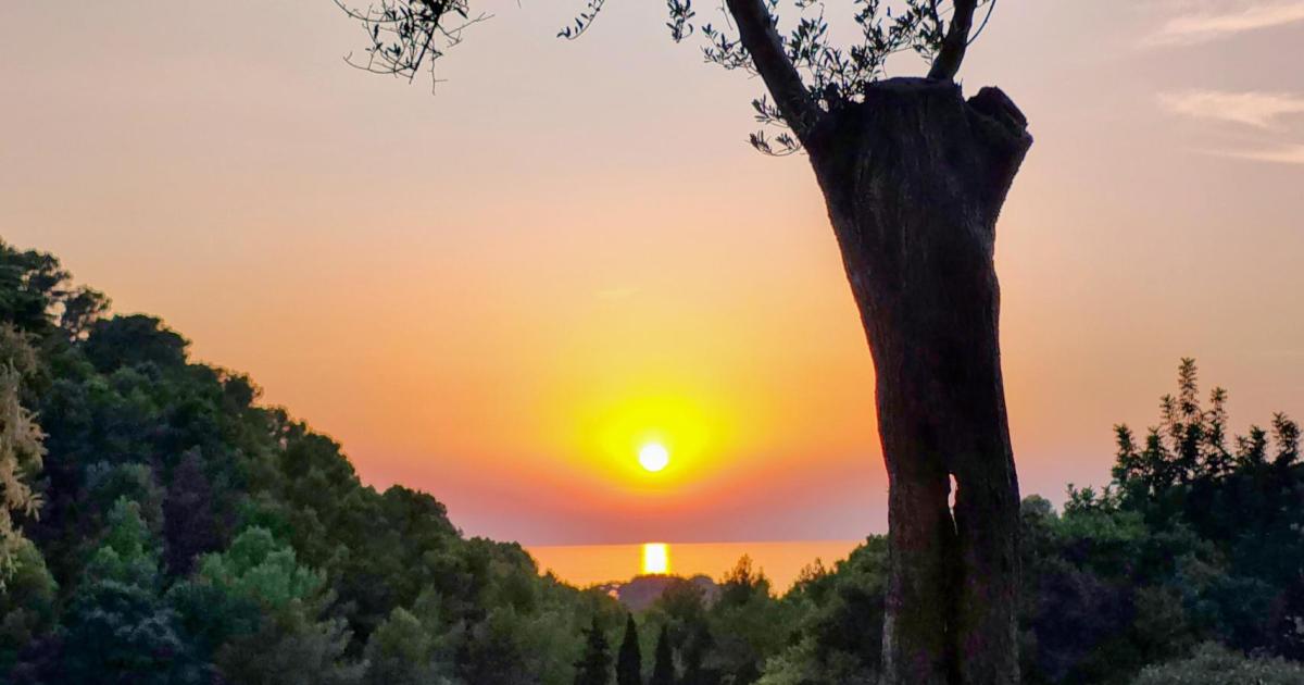 Climate shelters to be set up across Spain to help people beat the summer heat