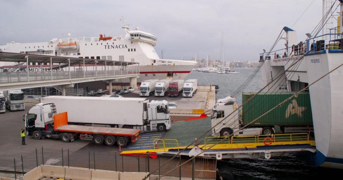 Mallorca seeking drivers from Morocco and South America - but where will they live?