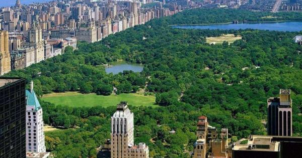 Trump fears drive Mallorcan travellers away from the US