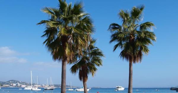 Spain expects tourist arrivals to keep growing in 2026