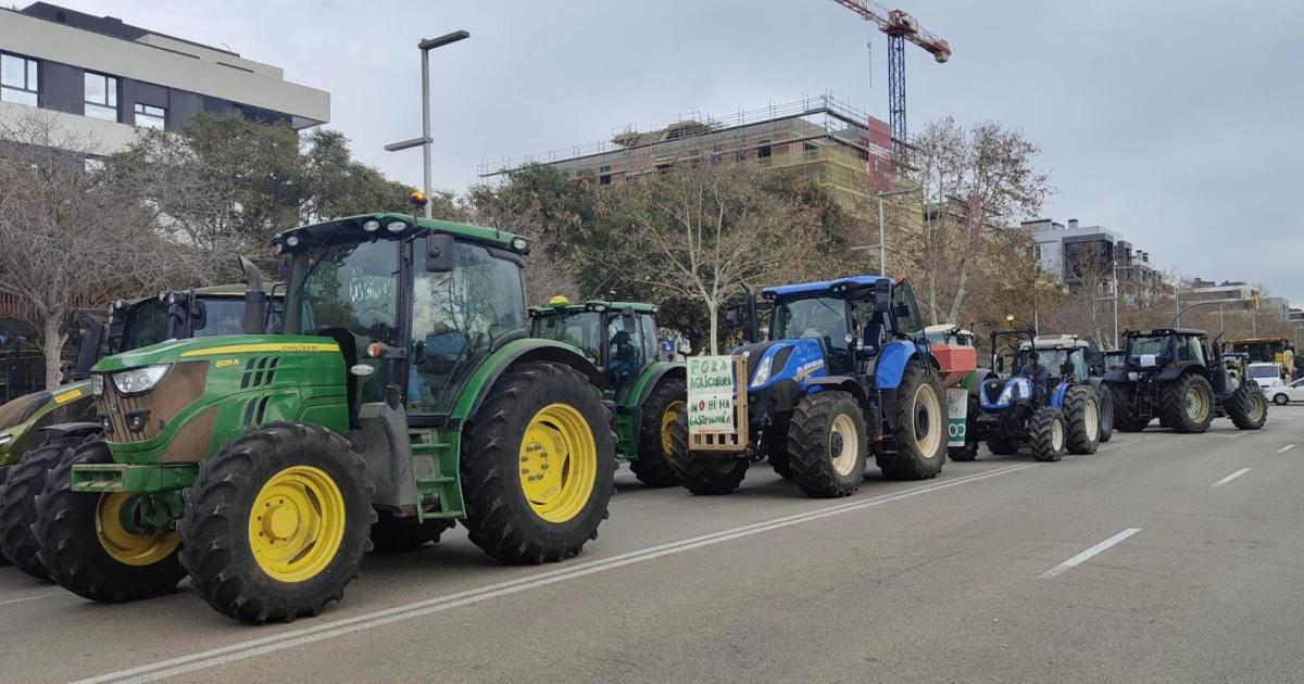 Angry Mallorca farmers take to the streets of Palma in protest