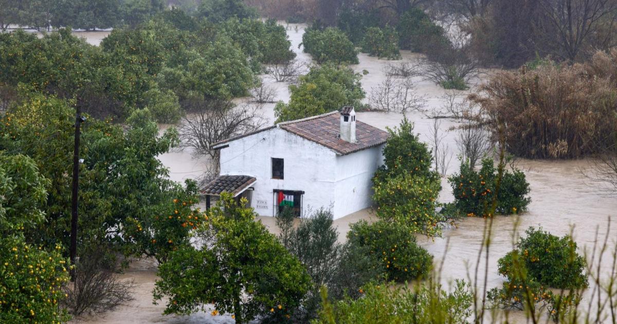 Girl missing in Spain after being dragged away by river trying to rescue her dog