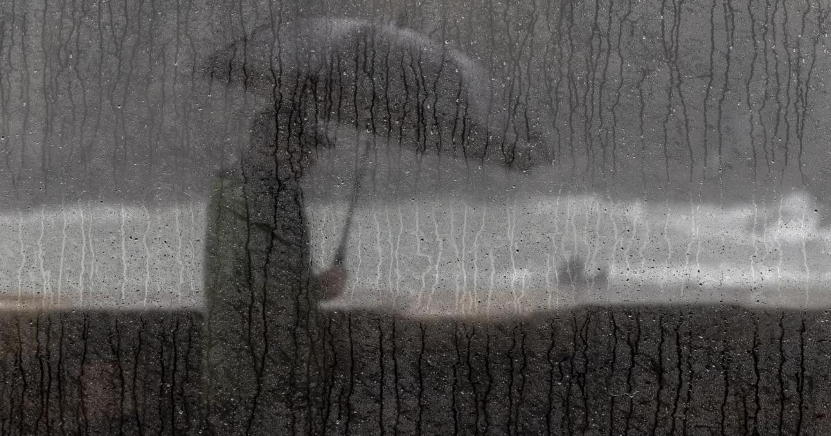 “We need to start getting used to a more tropical Mallorca - we can ease climate change but not stop it”