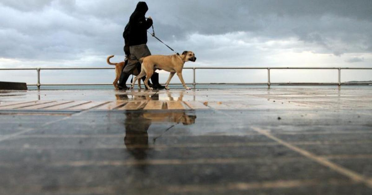 Mallorca weather forecast for Tuesday, March 10 more rain and hail: Foreign Office travel advice after one dead in Spain