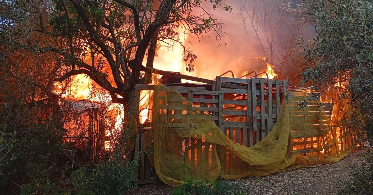 Court releases suspected Palma shanty town arsonist