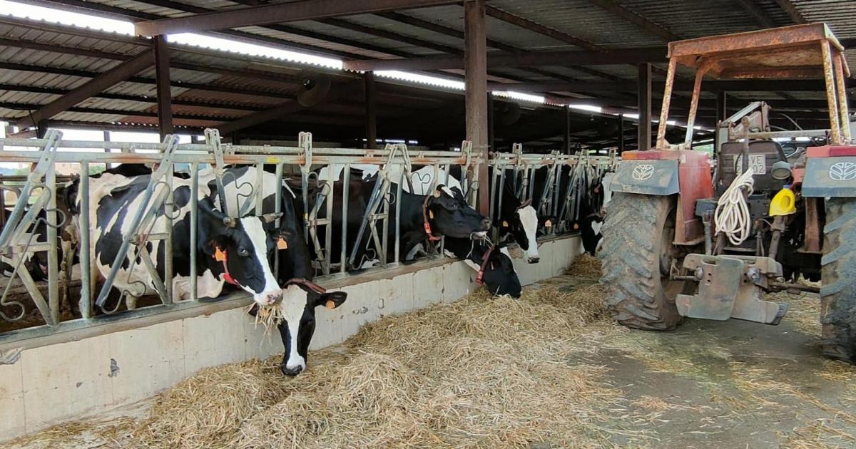 Mallorca boycott of beer giant's products called for; government launches investigation into "misleading" advertising