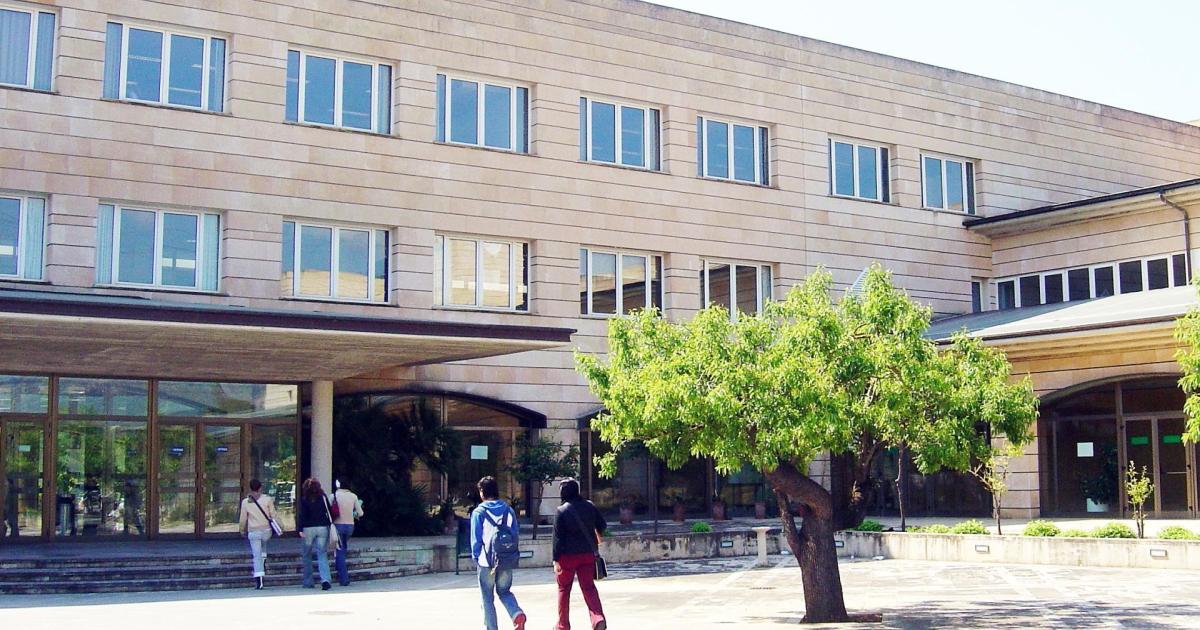 Mallorca brain drain because of the lack of highly skilled job opportunities