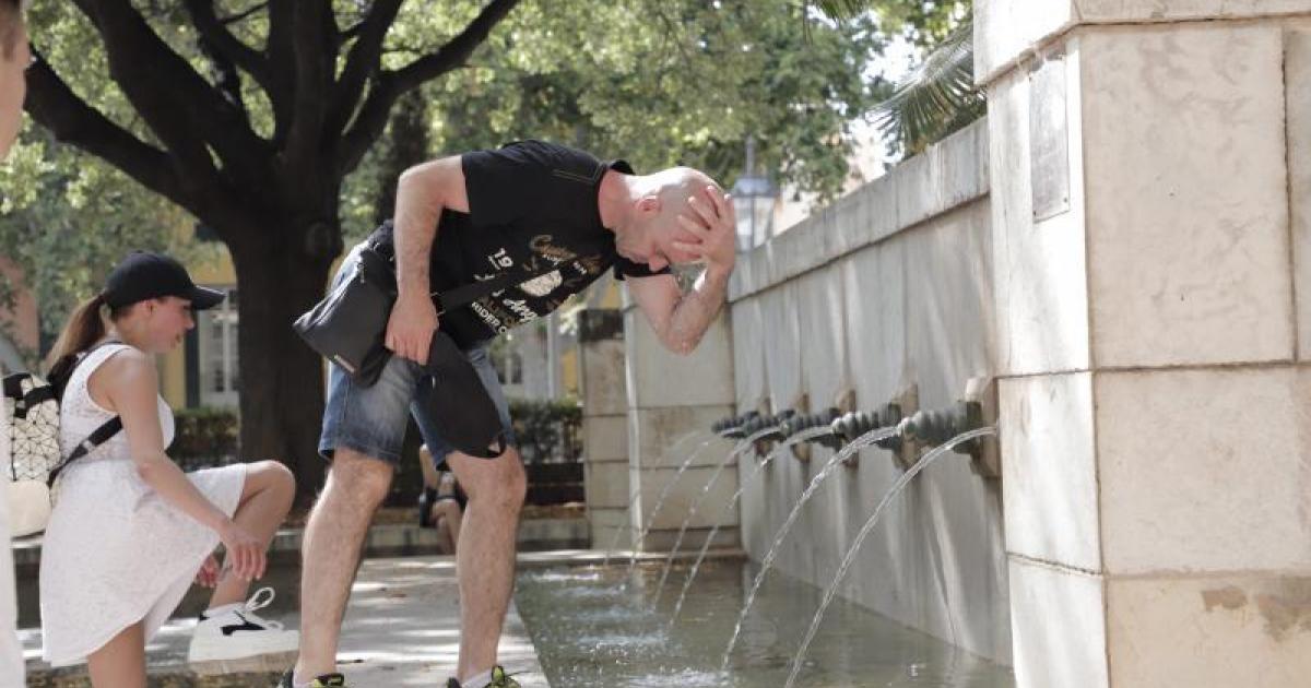 Spain met. office warns country set for El Niño extreme weather this summer as Mallorca becomes more tropical