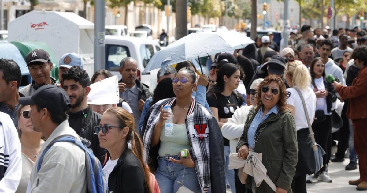 Hundreds of illegal immigrants queue in Palma for their paperwork as government introduces amnesty