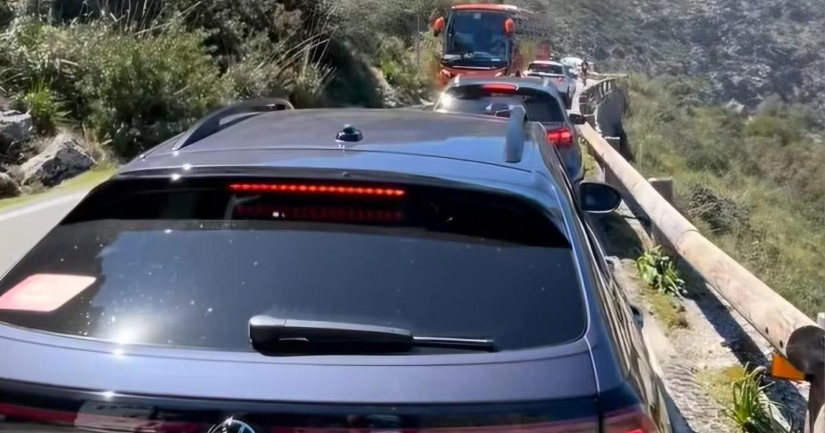 Another weekend of Mallorca traffic chaos, jams and frustration at beauty spots: Cyclists in the hot seat