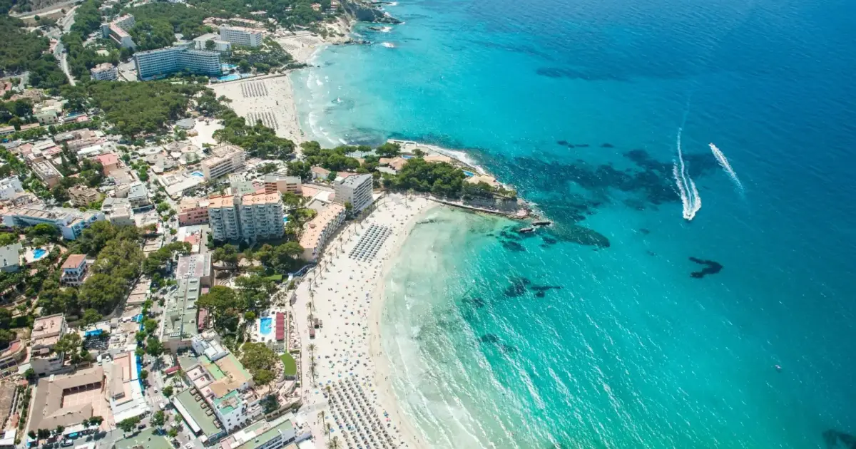 Calvia launches real-time beach occupancy tracker for Magalluf, Palmanova, Santa Ponsa and Paguera