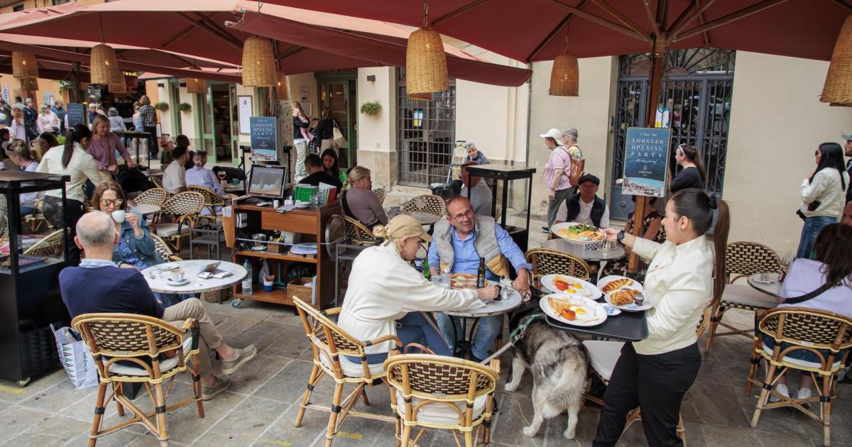 Restaurants in Spain urged to offer smaller portions to cut food waste or face heavy fines