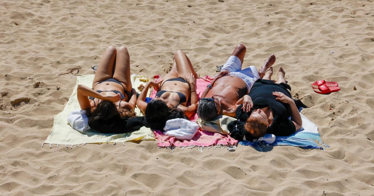 Spain reminds workers that they can reduce or adjust their working hours in the event of an orange or red weather warning: First heatwave alert for Mallorca